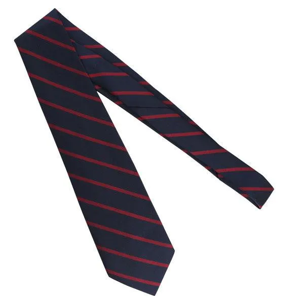 Civil Air Patrol Tie: Regimental - 4-in-hand